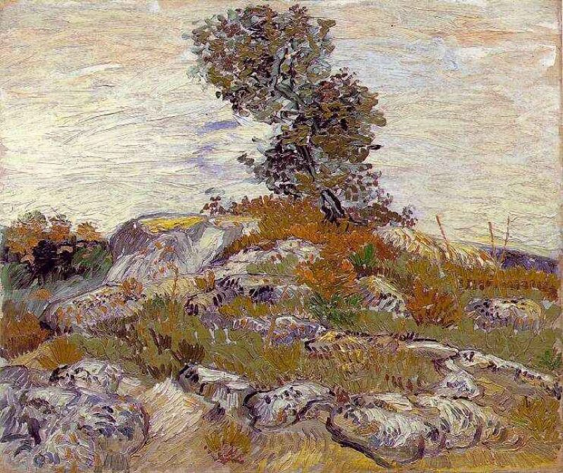 rocks with oak tree.jpg